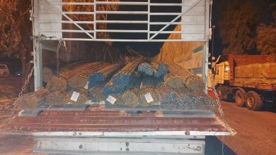 E5ACFAF9 8238 40D8 838F 7FC67CD03E64