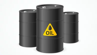 EE83F9DE 7C4D 4973 8F97 363291F1E82E