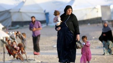 F1321645 FA73 4B95 8A0C ADF0D5328846