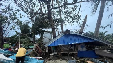 F2D6A799 E23E 450F 909A 4C3514A7D4E5