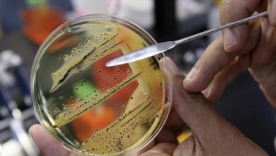 F42ECCA5 AD4A 47AE 9347 2924B1B4E0C3