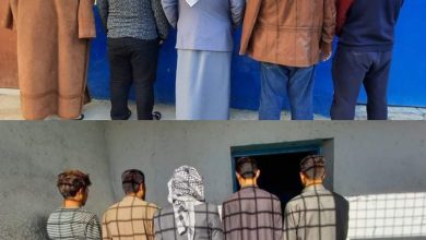 F52E6878 3C1D 424C 82FD E1C3352EB2F0