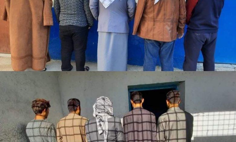 F52E6878 3C1D 424C 82FD E1C3352EB2F0