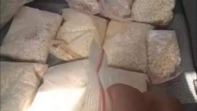 FB IMG 1635875920279 1