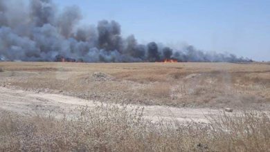 FB IMG 1639481178192