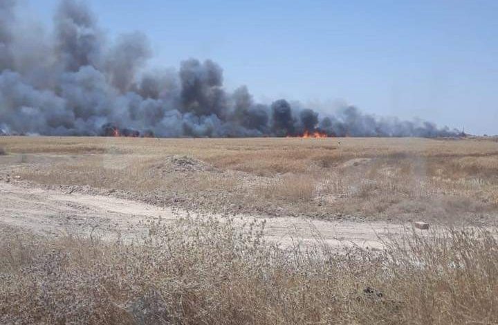 FB IMG 1639481178192