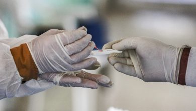 FEF88C07 8277 428D 8F27 216D8B3B697F