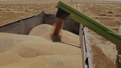 التجارة تطلق وجبة جديدة من مادة الحنطة في 5 محافظات 2 Screenshot ٢٠٢١١٢١٢ ١٨٠٧٢٥ Samsung Internet