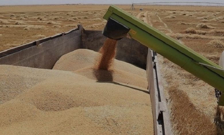 التجارة تطلق وجبة جديدة من مادة الحنطة في 5 محافظات 1 Screenshot ٢٠٢١١٢١٢ ١٨٠٧٢٥ Samsung Internet