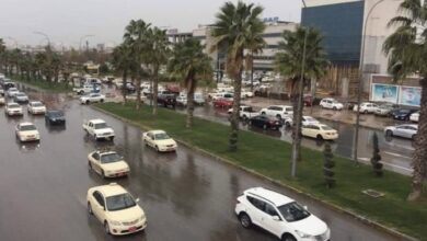 03C9A793 5C25 4E1A 9445 A148443FD473