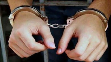 0870D82E E941 484D AAA4 AE20E9AF179D