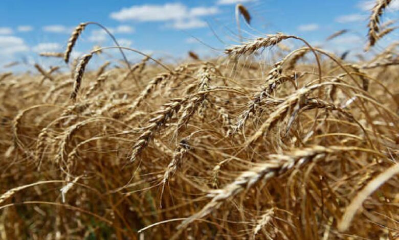 0E96118B E2CD 4996 BF50 84FC343A1BFA