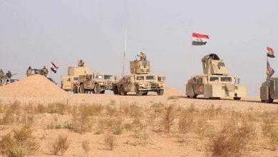 101482020 131892018 435435435