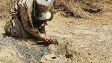 102012022 image 7fb3b7a8 961a 4ec7 b84a 6be33c7a23d8