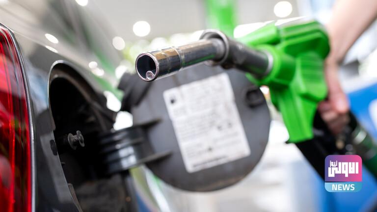 13312022 61d2f1eb4c59b71c0665b299