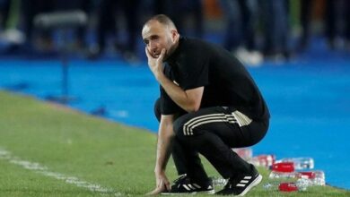 138 194241 algeria national team belmadi future 700x400