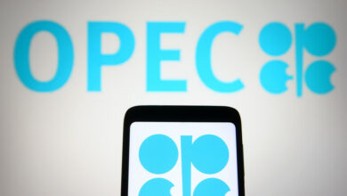 151812022 61e6d1d64c59b769d1082a19