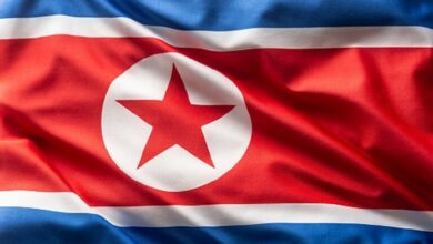 161412022 61e1a20d4236047c0a4255bb