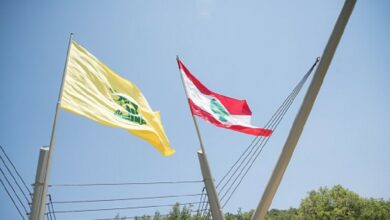 161812022 61e6e46d42360464af25e3ff