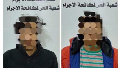 1BC9E175 E2EB 4719 8BE3 E20544B9294C