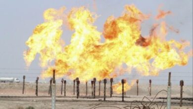 2B371B99 B422 4FFC 9139 F0A515B31073