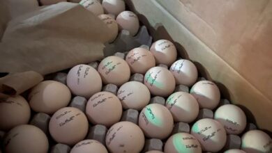 2BA45EAF 3A27 4AD3 8B8A 26311A957642