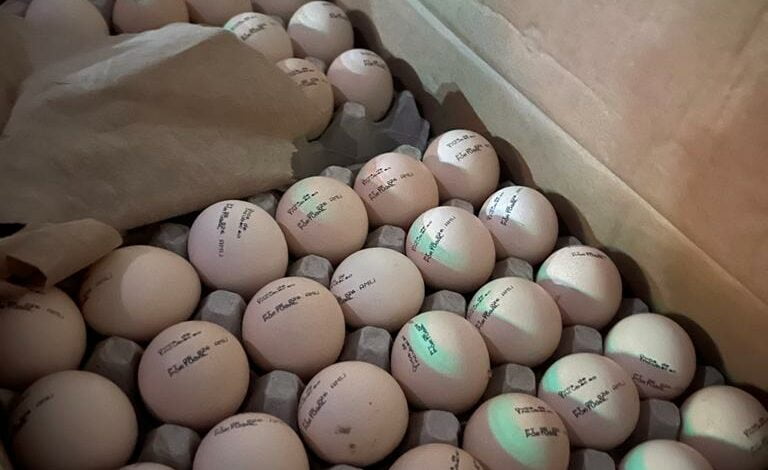 2BA45EAF 3A27 4AD3 8B8A 26311A957642