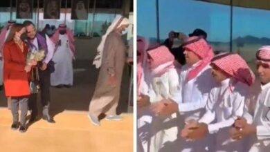 2E911CD0 4E7E 4BD3 ACB5 225FAF020630