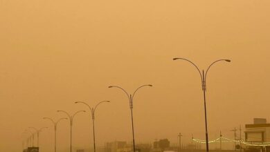 40423753 2B9F 4097 9CC8 DC6DF3FA86CF