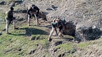 44F6EB22 9B09 4DAF 822B D48BAC036C97