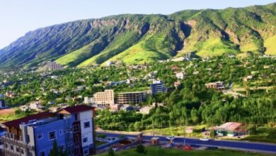 4E7815C7 6835 4202 88D4 7F455538A529