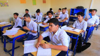 556A667D DF80 4826 9C12 56DA8AE4230D