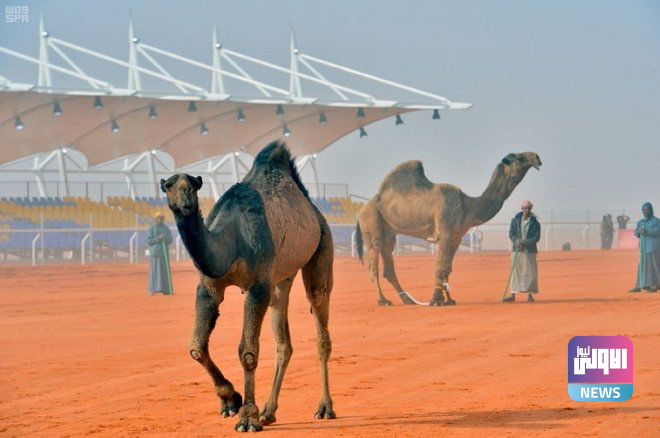 5C2BEE9B FEB7 47E3 BB45 52D1461C9DD0