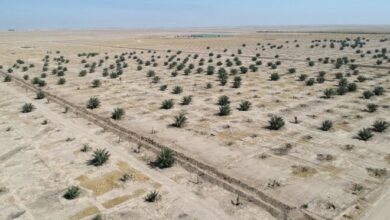 5DC14E42 D673 4417 8C73 FEB676F5B651