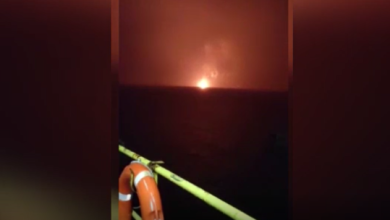 61d014184c59b72299183862