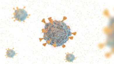 61d076464c59b745c9418287