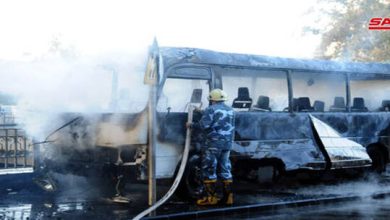 61d29e064236046e7a0832e4