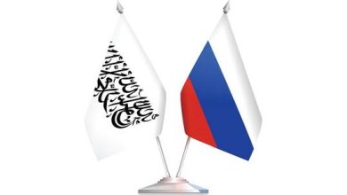 61d2b78c4c59b7204d07e34c