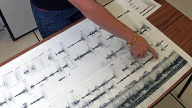 61d2cf614c59b71d2f725a5c