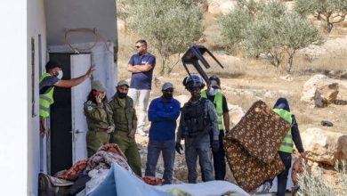 61d6aa004c59b72a787fea58 1