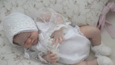 61d6d6b64236043a20100a17