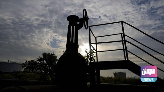 61d7c60b4236041fc3695161