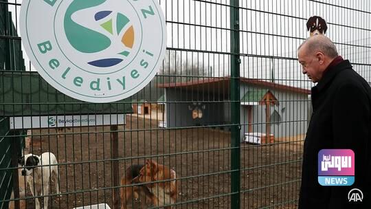 61d9392d4c59b7676931df62