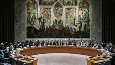 61d94b2b42360423564b6e07