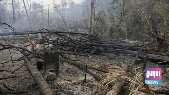 61dbda0f4c59b7088c2a641b