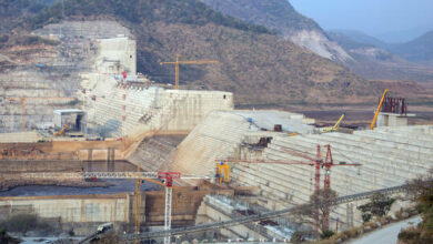 61dd8cf5423604779d16c4f2