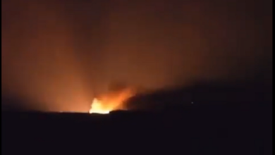 61dfb57e4c59b7165159a9eb