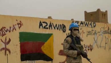 61dfe1264c59b772ff042a56