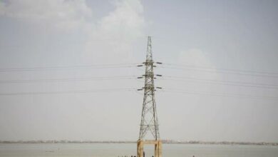 61e25b044c59b71bff0fe228