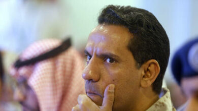 61e2ad0442360433762c113d